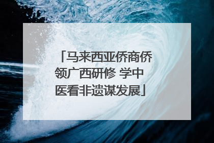 马来西亚侨商侨领广西研修 学中医看非遗谋发展