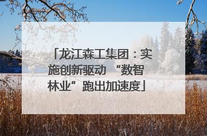 龙江森工集团：实施创新驱动 “数智林业”跑出加速度