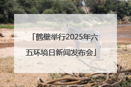 鹤壁举行2025年六五环境日新闻发布会