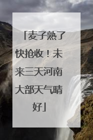 麦子熟了快抢收！未来三天河南大部天气晴好