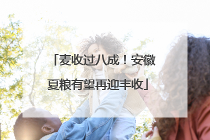 麦收过八成！安徽夏粮有望再迎丰收