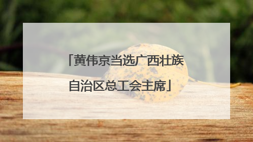 黄伟京当选广西壮族自治区总工会主席