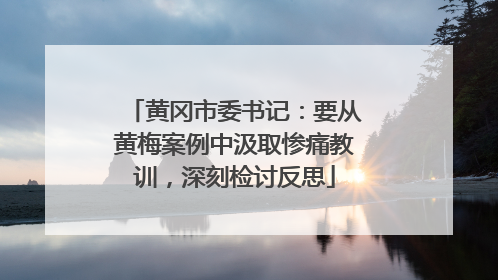 黄冈市委书记：要从黄梅案例中汲取惨痛教训，深刻检讨反思