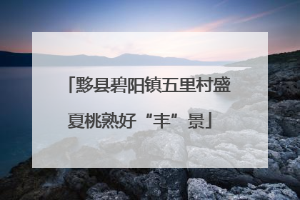 黟县碧阳镇五里村盛夏桃熟好“丰”景