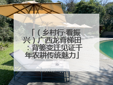 （乡村行·看振兴）广西龙脊梯田：背篓变迁见证千年农耕传统魅力