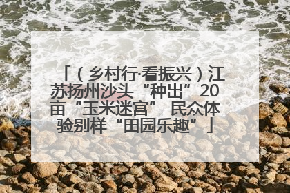 （乡村行·看振兴）江苏扬州沙头“种出”20亩“玉米迷宫” 民众体验别样“田园乐趣”