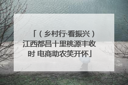 （乡村行·看振兴）江西都昌十里桃源丰收时 电商助农笑开怀