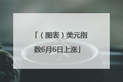 （图表）美元指数6月6日上涨