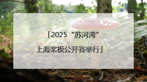 2025“苏河湾”上海桨板公开赛举行
