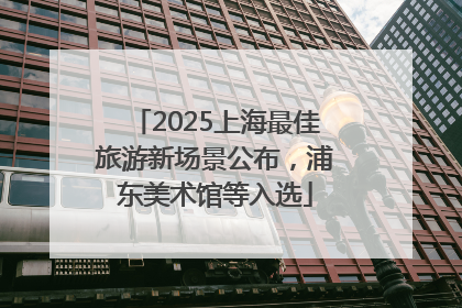 2025上海最佳旅游新场景公布，浦东美术馆等入选