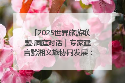 2025世界旅游联盟·洞庭对话｜专家建言黔湘文旅协同发展：聚焦产品稀缺性 深化区域经验共享