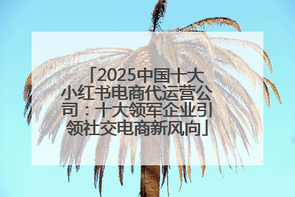 2025中国十大小红书电商代运营公司：十大领军企业引领社交电商新风向