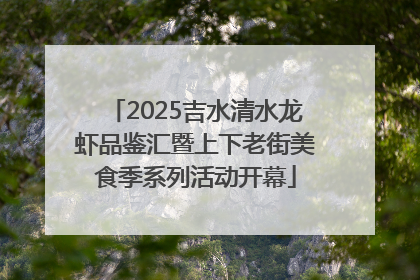 2025吉水清水龙虾品鉴汇暨上下老街美食季系列活动开幕