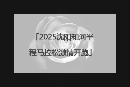 2025沈阳和河半程马拉松激情开跑