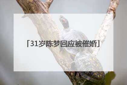 31岁陈梦回应被催婚