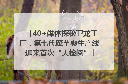 40+媒体探秘卫龙工厂，第七代魔芋爽生产线迎来首次“大检阅”