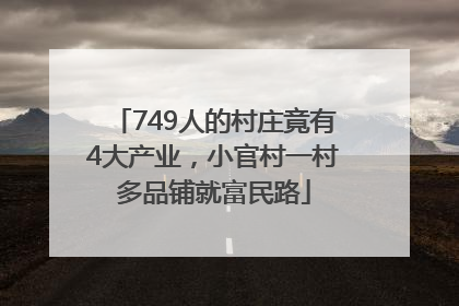 749人的村庄竟有4大产业，小官村一村多品铺就富民路
