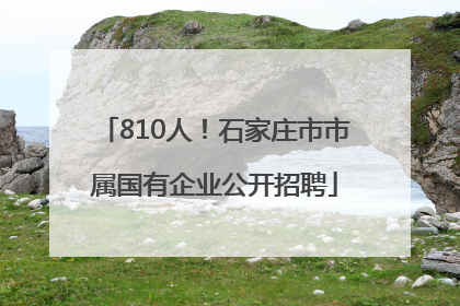 810人！石家庄市市属国有企业公开招聘