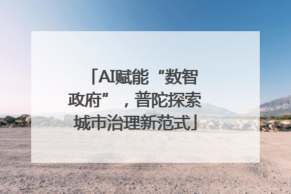 AI赋能“数智政府”，普陀探索城市治理新范式