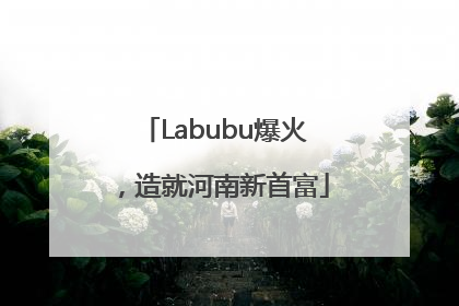 Labubu爆火，造就河南新首富